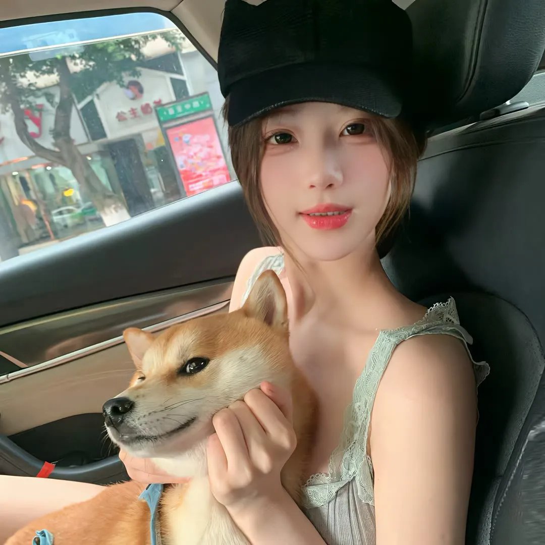印度合伙人
