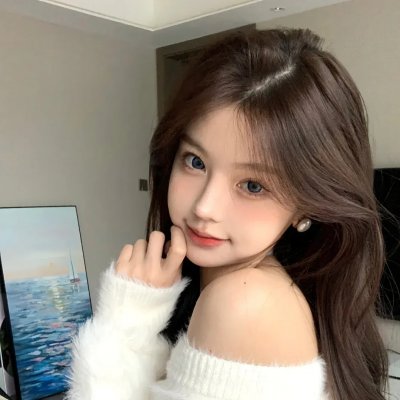 向政府说不